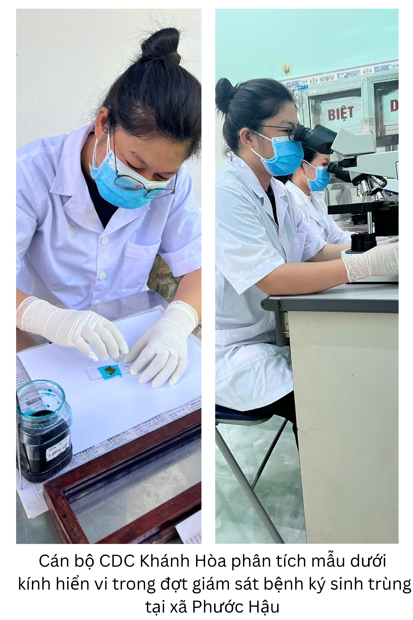 Triển khai giám sát trọng điểm bệnh ký sinh trùng tại xã Phước Hậu